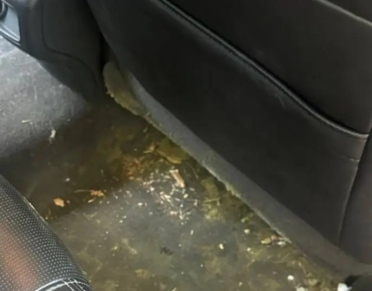 Dirty rear footwell before detailing